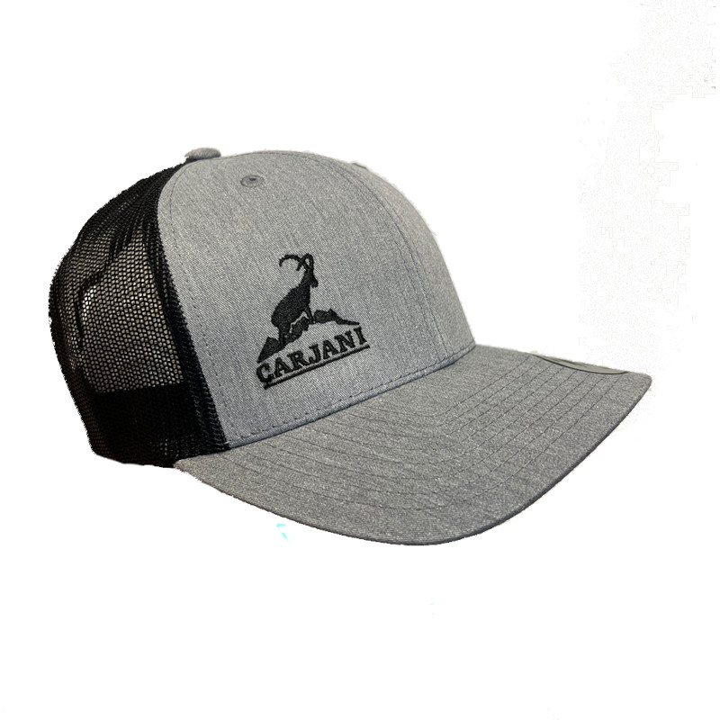CARJANI F Cap (grey/black)
